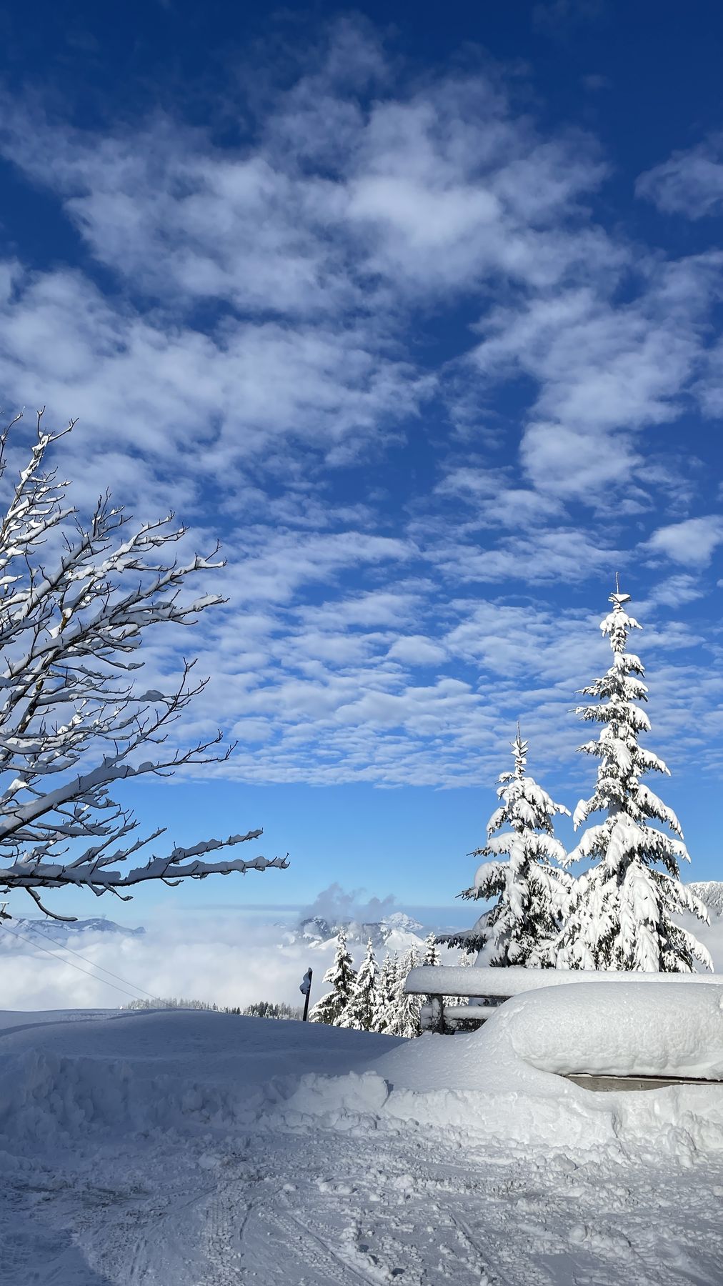 Skifahren am Wildalpgatterl